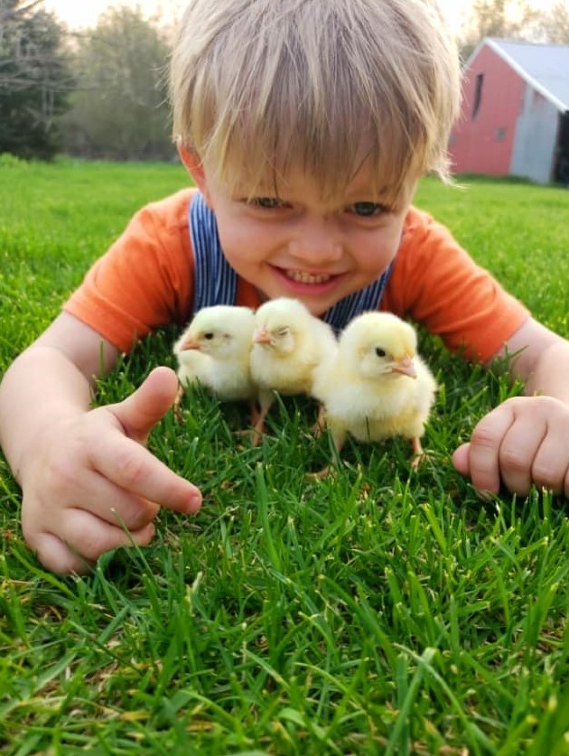 boy with chicks.jpg